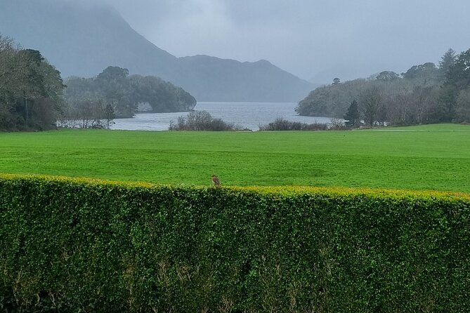 Dingle Peninsula Private Minibus Day Tour of the Fields of Gold - FAQ