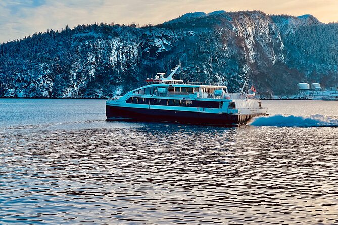 Discover Bergen on Foot and Boat - The Guides and Their Impact