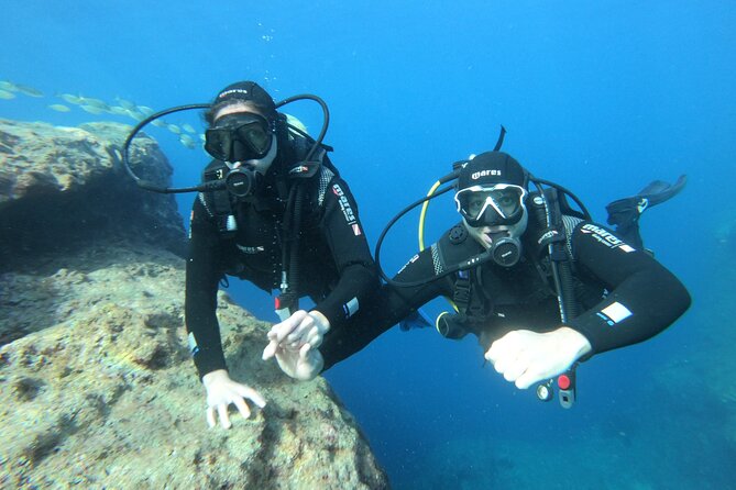 Diving experience in Malta - The Sum Up