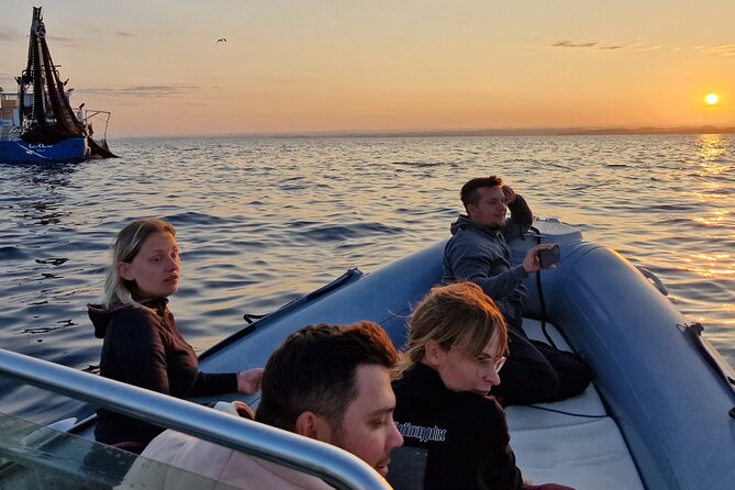 Dolphin Sunrise Adventure with Speedboat - Practical Details and Considerations