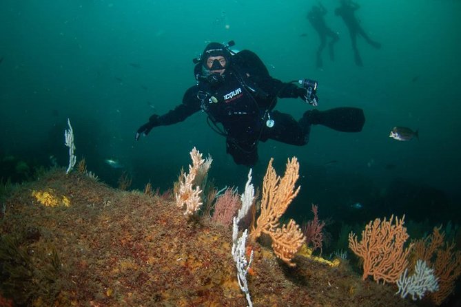 Double Dive the Fantastic Ocean Revival Park - FAQs