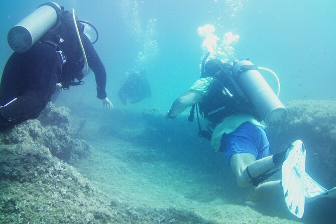 Double Shore Dive (certified divers) - The Sum Up