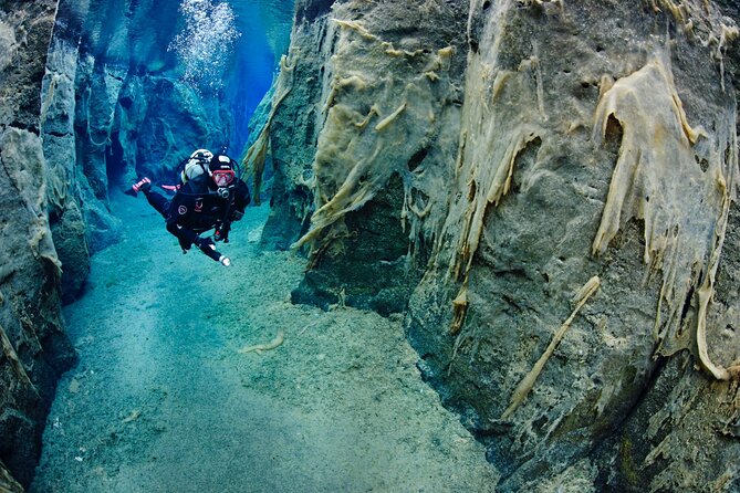 Double Snorkeling Adventure near Húsavík in North Iceland - Final Thoughts: Is It Worth It?