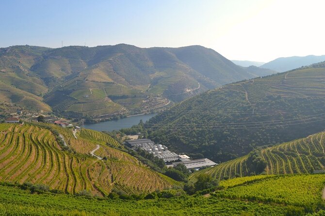 Douro Three Winery Small Group Tour with Lunch and Tastings - FAQ
