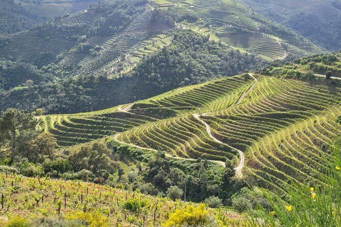 Douro Valley private tour full day - FAQ