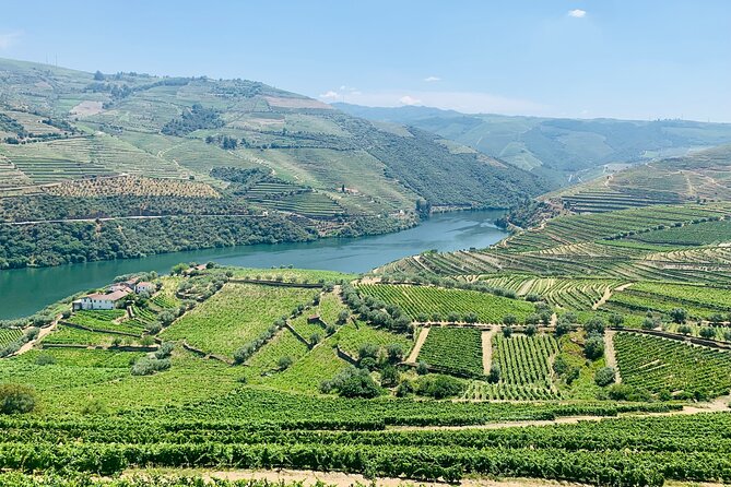 Douro Valley private tour includes wine tasting and boat trip - Who Will Love This Tour?