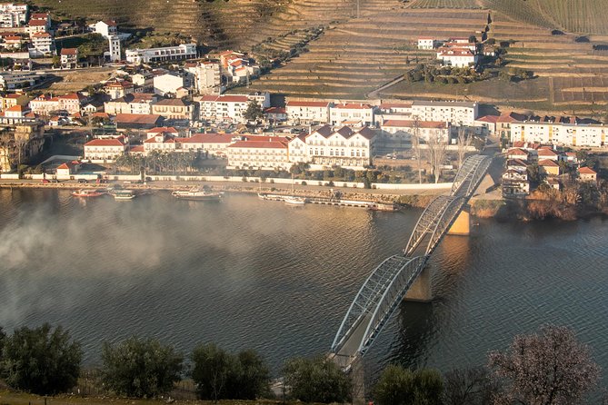 Douro Valley Wine Experience with a Sommelier - Who Should Consider This Experience?