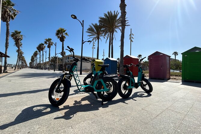 E-bike Tour: Beaches, & City of Arts and Sciences (From 30,00) - Who Should Consider This Tour?