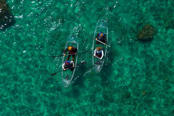 East Shore Clear Kayak Tour - Final Thoughts: Who Should Consider This Tour?