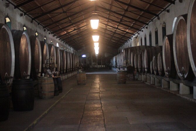 Eat, Wine, Love and Jeep in Sintra - Who Should Consider This Tour?