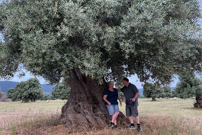 Ebike Tour Millennials Olive Trees Park with Aperitif - Who Is This Tour Best For?