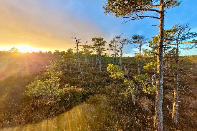 emeri Bogs Adventure: Explore Wetlands In Bog Shoes - Pricing and Value