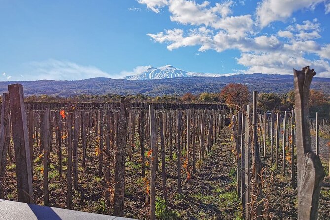Etna and Wine: Adventure and Tasting between Craters and Cellars - Exploring the Vineyard and the Scenery