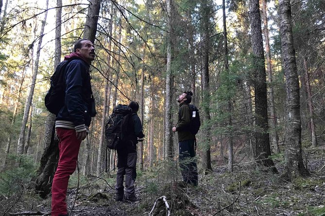 Evening Wildlife Safari with Campfire Dinner from Stockholm - FAQ
