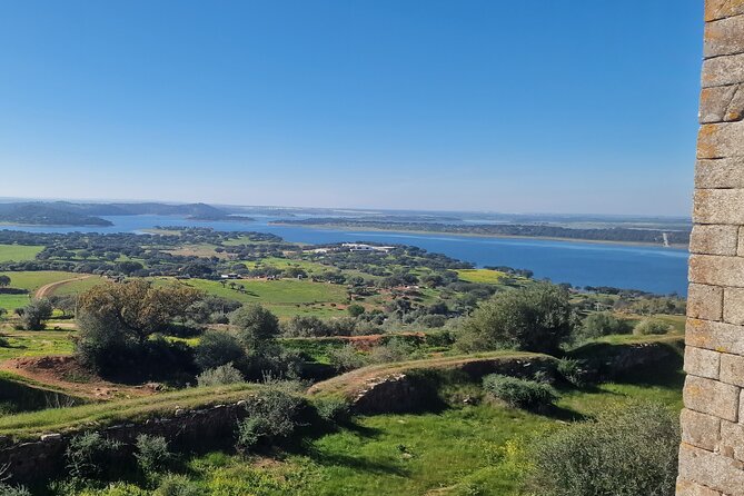 Evora Wine & Cork Experience - Analyzing the Cost: Is It Good Value?