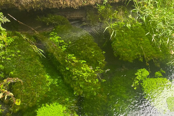 Exclusive: Rainforest and Olympic National Park from Seattle - Lunch in Forks: The Twilight Connection