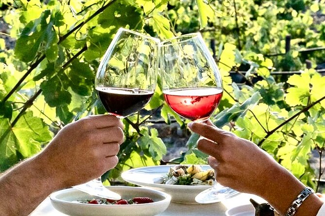 Exclusive Santorini Private Wine Tasting & Greek Lunch Experience - Authentic Experiences and Guest Insights