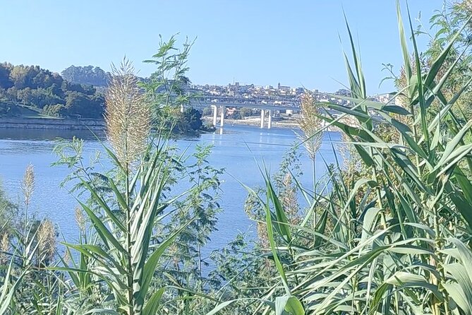 Excursion in Porto for sport lovers - Who Will Love This Tour?