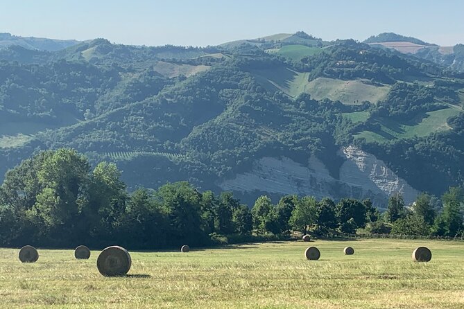 FARM STAY EXPERIENCE & DOZZA - Private Day Tour From Bologna - Frequently Asked Questions