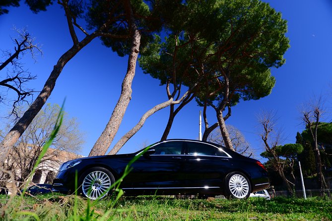 Fiumicino-Rome transfer, only Mercedes 2025 Sprinter L V S - The Booking Experience