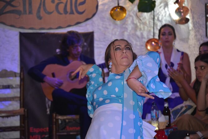Flamenco Show in Cueva Zincalé - Practical Details You Should Know