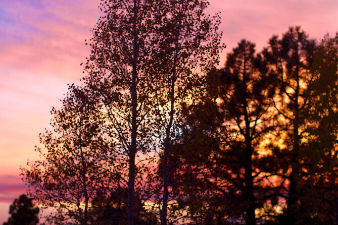 Forest Bathing and Meditation on Mt Lemmon - Frequently Asked Questions