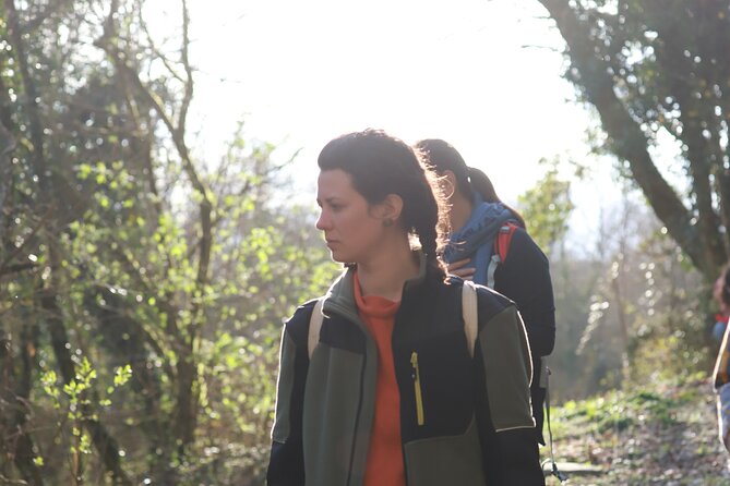 Forest Bathing in Tuscany with Wild Crafted Tea - What Do Reviewers Say?