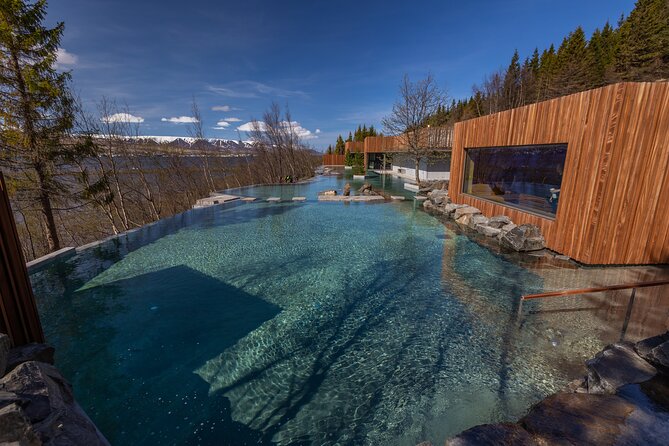 Forest Lagoon and Northern Lights Guided Night Tour - How This Tour Fits Your Travel Style