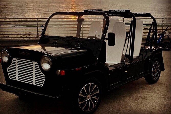 Fort Lauderdale Moke City Tour - Who Is This Tour Best For?