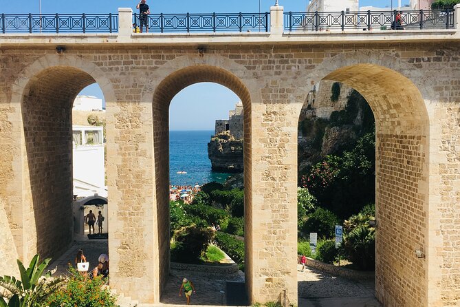 From Brindisi. Ostuni, Alberobello and Polignano a Mare Tour - Who is This Tour Best For?