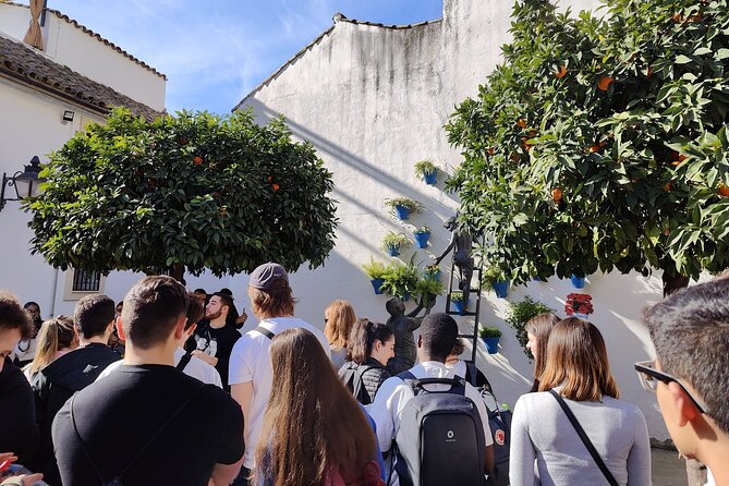 From Seville: Cordoba and Mosque-Cathedral Skip the Line - The Value of This Tour