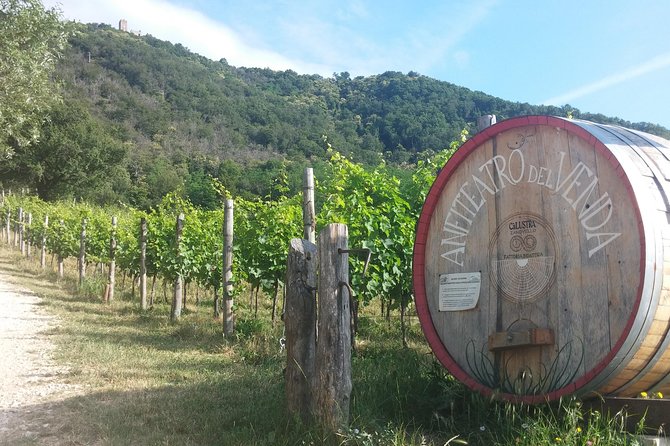 From Venice: Wine Tour in the Euganean Hills - FAQs
