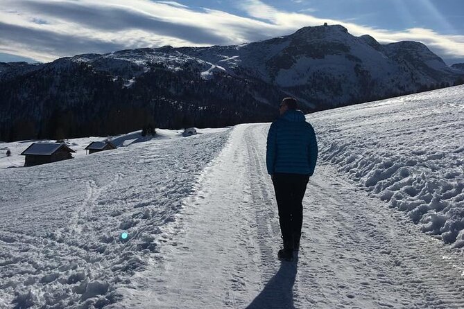 From Verona area: Private day trip to the Dolomites - Who Is This Tour Perfect For?