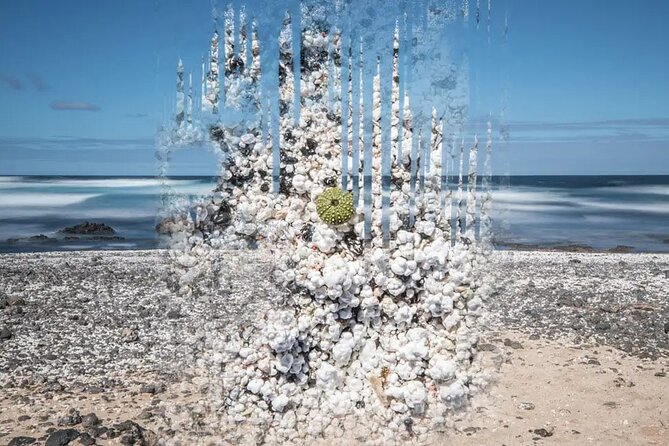 Fuerteventura: The Panoramic Experience. ALL historic highlights. - The Sum Up