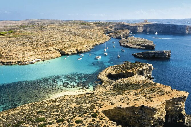 Full Day Fernandes Cruise with Lunch - Who Should Consider This Tour?