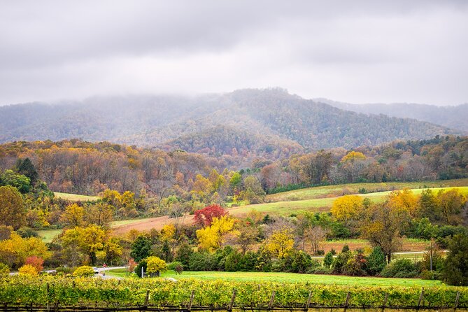 Full-Day Private Virginia Wine Tour Experience from Washington - The Sum Up  