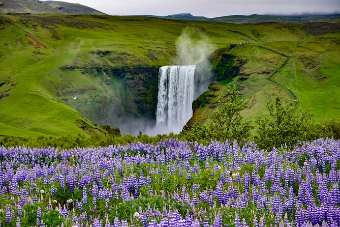 Full Day Small Group South Coast and Glacier Hike from Reykjavik - Seljalandsfoss Waterfall