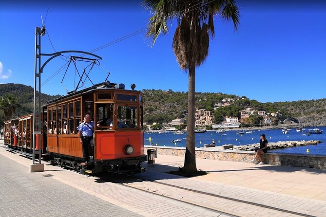 Full Day Tour to the Island of Mallorca - Authentic Experiences from Reviewers