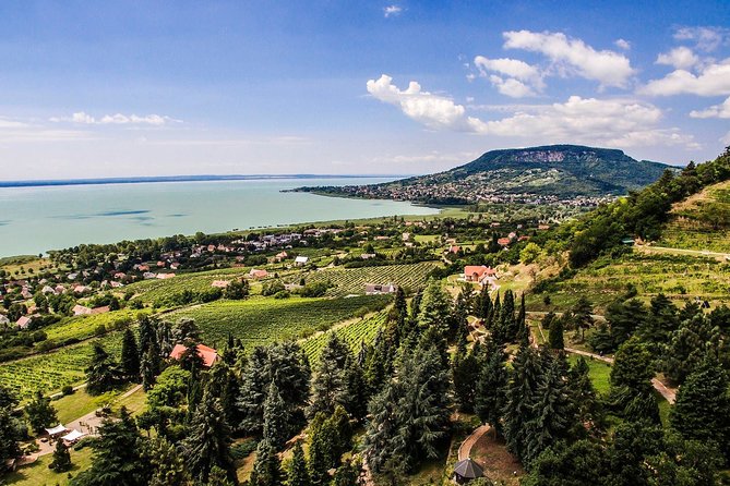 Full-Day Wine Tasting at Lake Balaton Private Tour from Budapest - FAQ: Practical Questions Answered