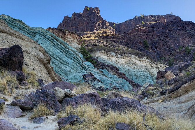 Full Private Tour of Gran Canaria with Natural Pools - Authentic Experiences Shaped by Reviews