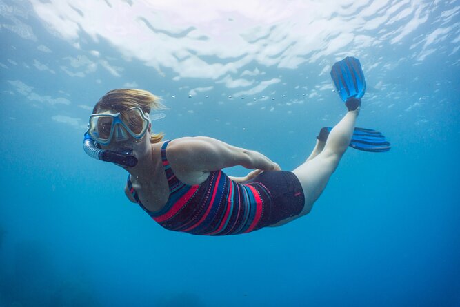 Funchal: Snorkeling Adventure in Eco-Park / Shore or by Boat - Why Choose This Tour?