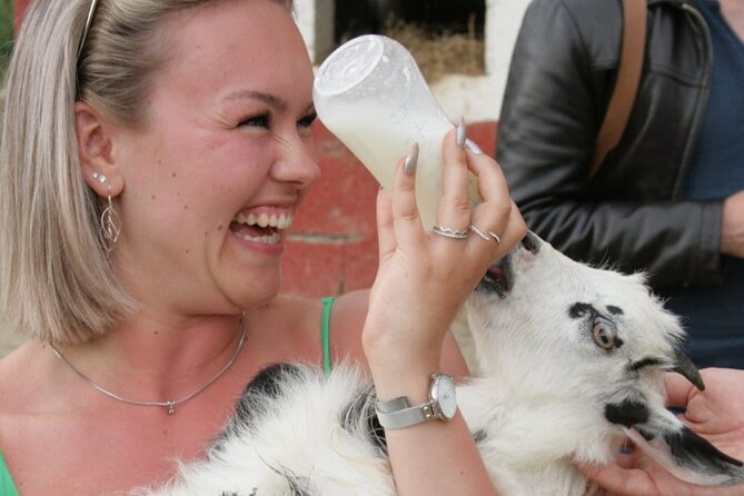 Gourmet Lunch Farm Tour with Cooking Class - Authenticity and Reviews