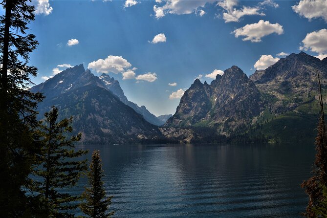 Grand Teton National Park Private Full Day Tour - Value and Suitability