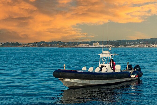 Great White Sharks Topside in Monterey Bay - FAQ