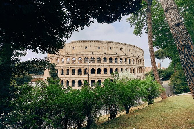Guided tour of Colosseum, Roman Forum and Palatine hill - Practical Details & Considerations