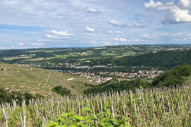 Guided Tour of the Coteaux Côte Rôtie for Parents and Children Duos - Final Thoughts
