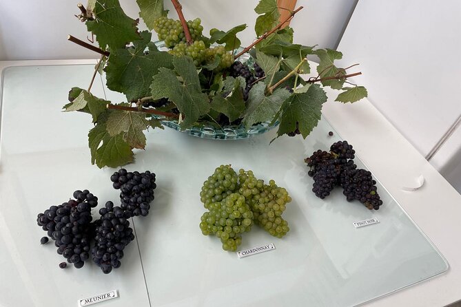 Half Day Grape Harvest Experience with Tasting in Epernay - Tasting the Grape Juice