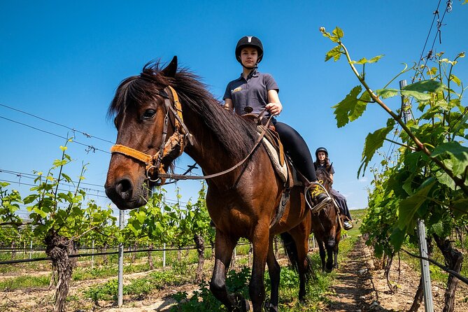 Half-Day of Horseback Adventure with Wine Tasting - Who Should Consider This Tour?
