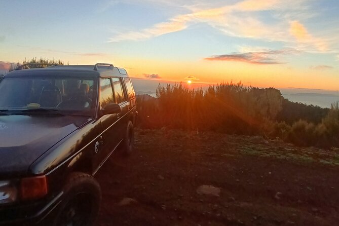 Half day Tour From 0 To 1818 Meters To Pico Do Arieiro Sunrise - Who Will Love This Tour?