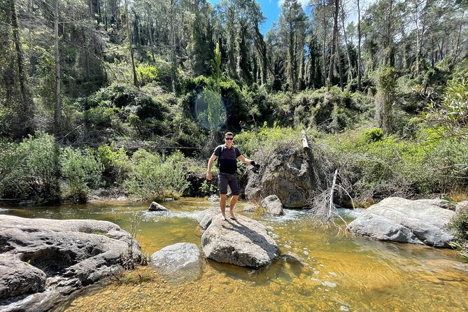Hiking in Montanejos and swim in Thermal Springs - OFFICIAL GUIDE - Final Thoughts: Who Should Consider This Tour?  